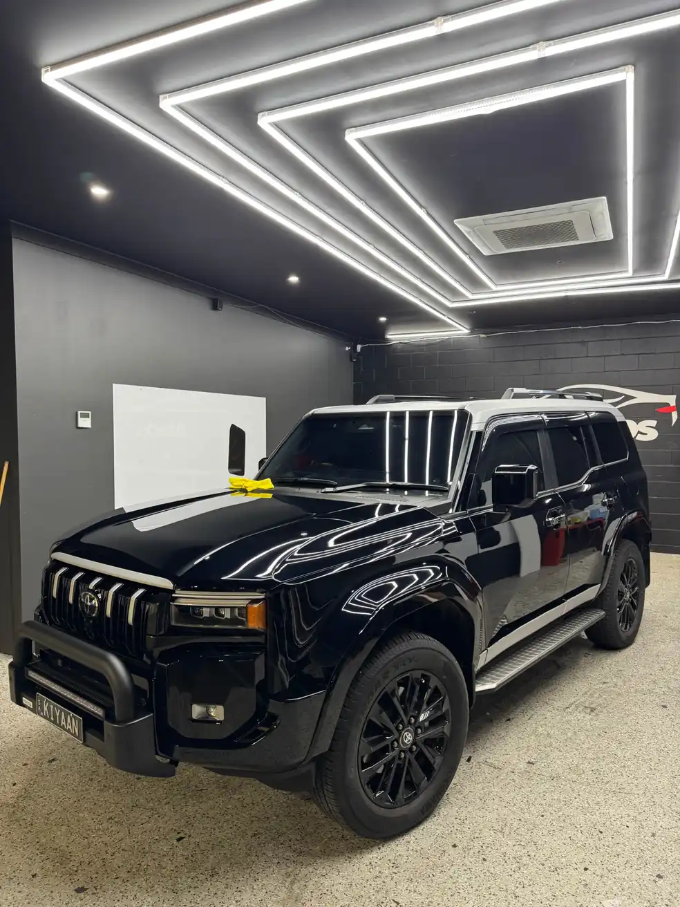Premium tint on SUV